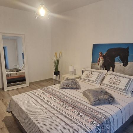 Apartament De Lux Craiova Exterior foto